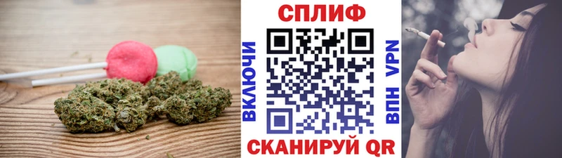 MEGA ССЫЛКА Балашов Canna-Cookies конопля
