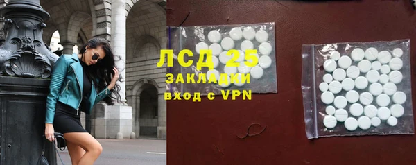 прущие грибы Покровск