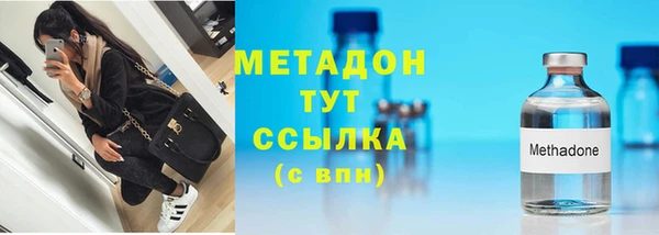 прущие грибы Покровск