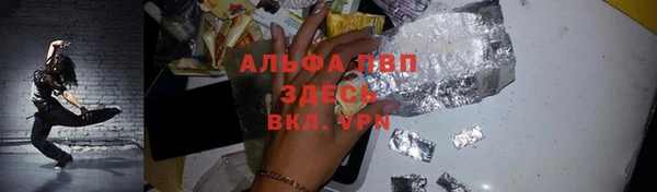 стаф Баксан