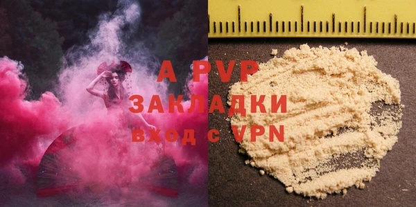 стаф Баксан